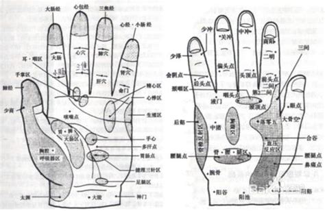 中指代表器官|十个手指相对应的五脏六腑